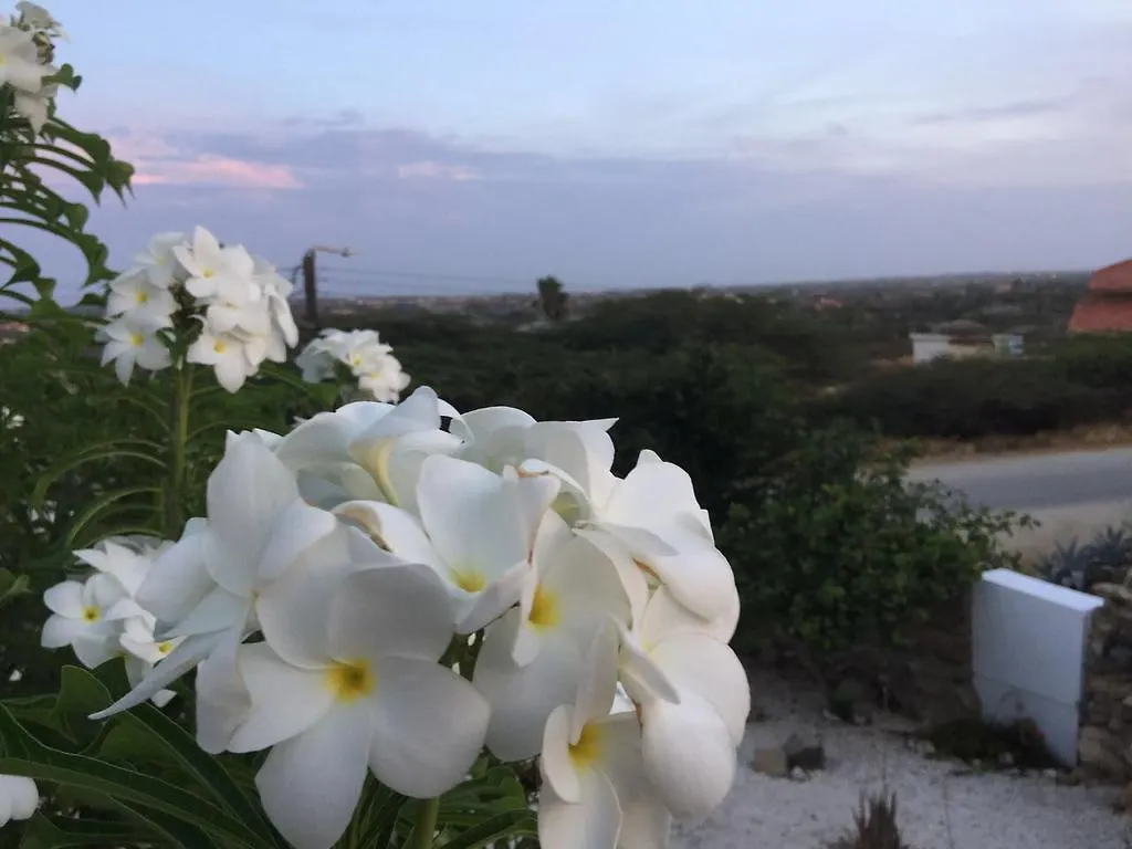נורד Villa Bon Vista ארובה