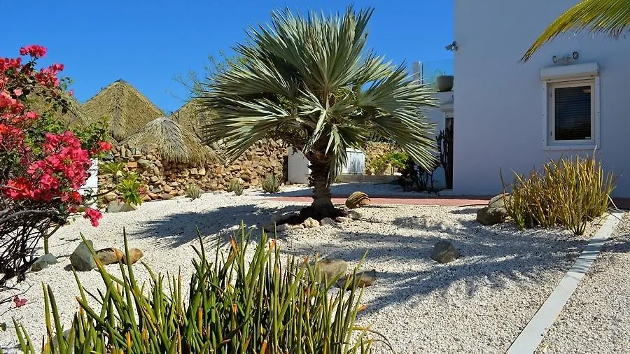 נורד Villa Bon Vista 0*,  ארובה